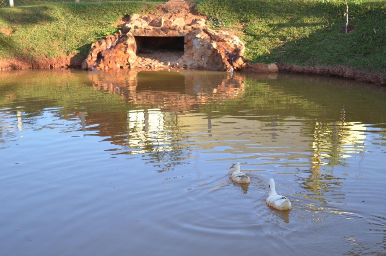ماتيوس ليمي Pousada Coqueiro Verde Minas Gerais المظهر الخارجي الصورة
